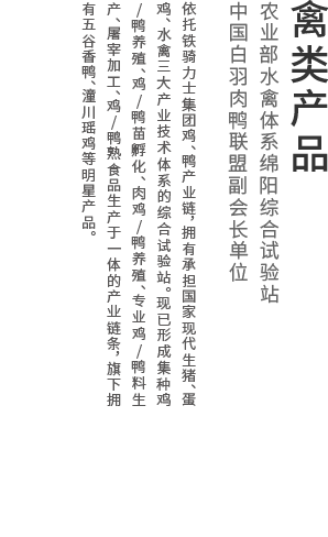 禽类产品爆品推荐